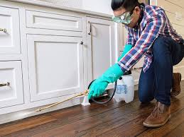 Best Pest Prevention Services  in Chenoweth, OR