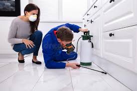 Best Pest Prevention Services  in Chenoweth, OR