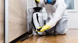 Best Organic or Eco-Friendly Pest Control  in Chenoweth, OR